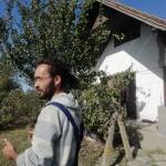 Szabo Gabi Profile Picture