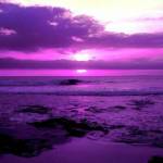 Marika Reznyákné Profile Picture