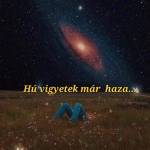 Júlia Bognár Profile Picture