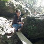 Gyöngyi Szirákiné Tóth Profile Picture