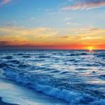 Ildikó Bodor Profile Picture