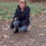 Andrea Kócsiné Gróf Profile Picture