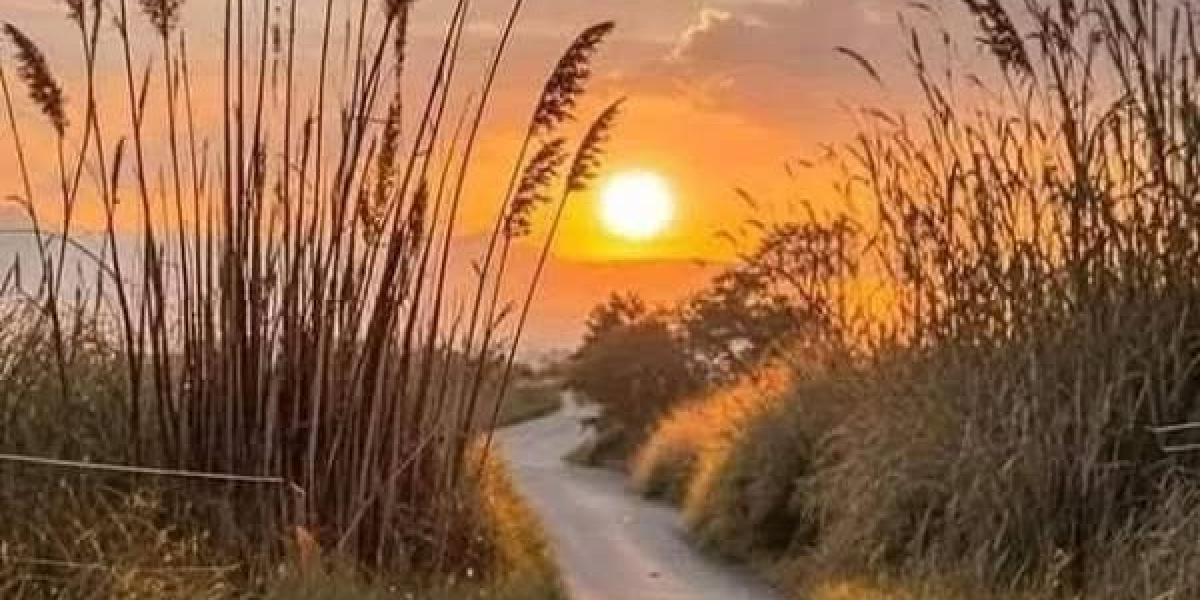 The Bay Contains a Contemporary Little one-Confronted Murderer: Just Jocyt