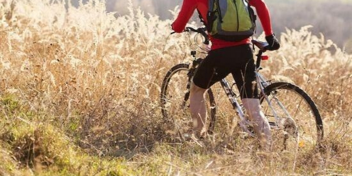 Axis Adds C8033 Network Audio Bridge to Its Portfolio