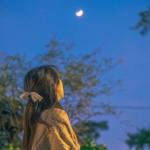 snewmo sa Profile Picture